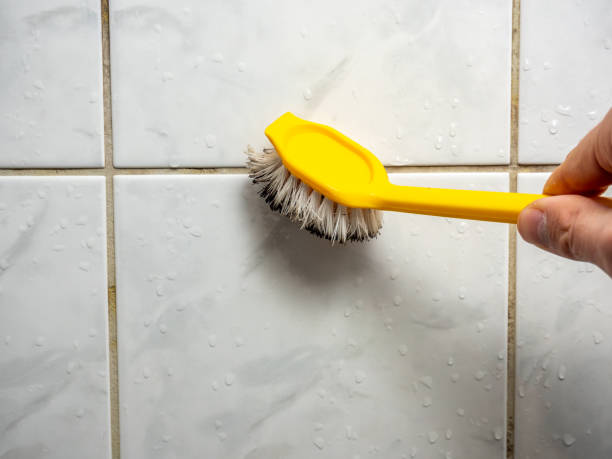 Best Local Mold Removal Service  in Amelia Court House, VA