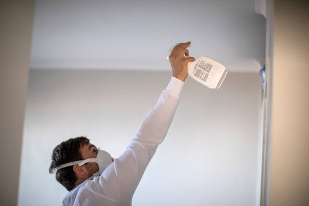Best Fast Mold Removal  in Amelia Court House, VA