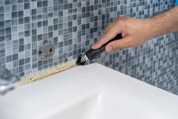 Professional Mold Removal in Amelia Court House, VA